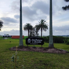 Entre Palmeras y Lavandas